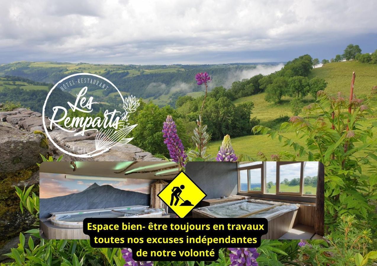 Logis Hotel Restaurant & Spa Les Remparts 살레 외부 사진