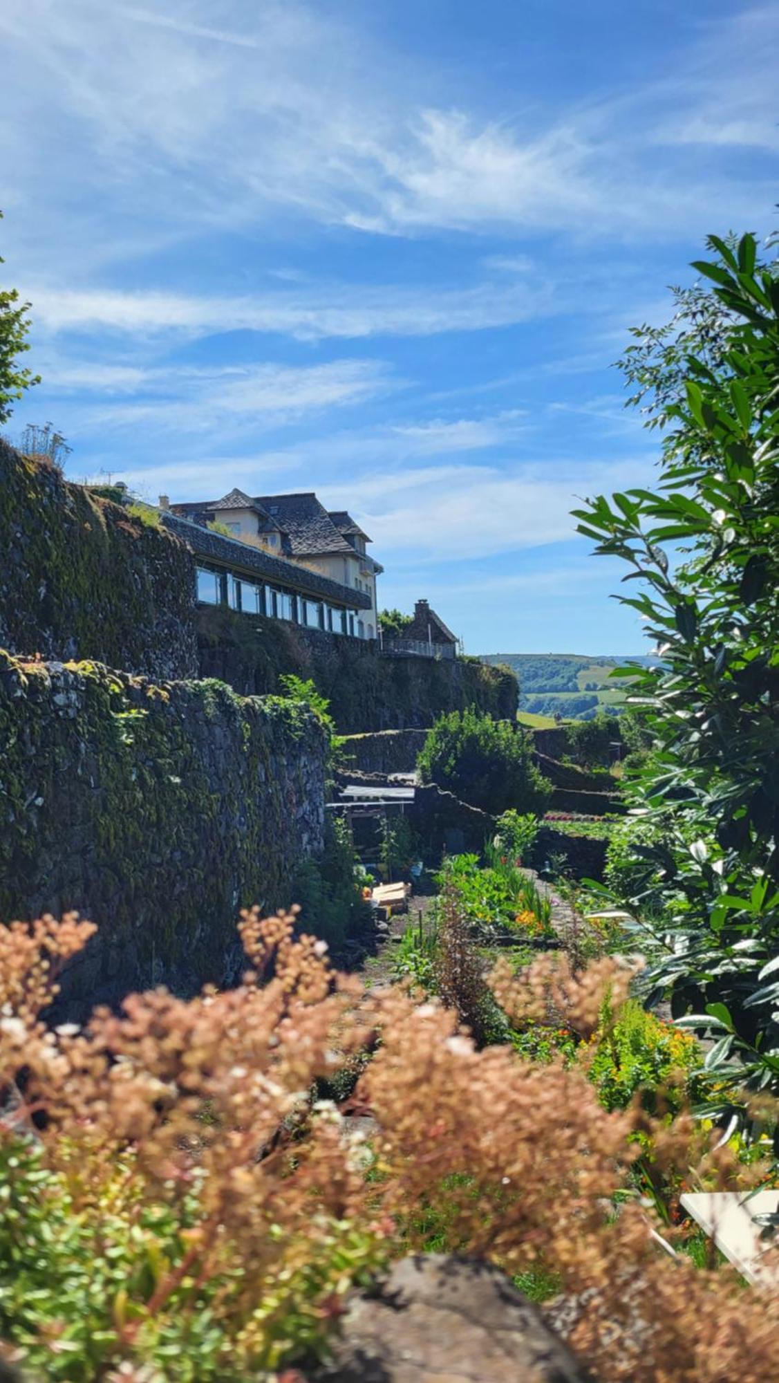 Logis Hotel Restaurant & Spa Les Remparts 살레 외부 사진
