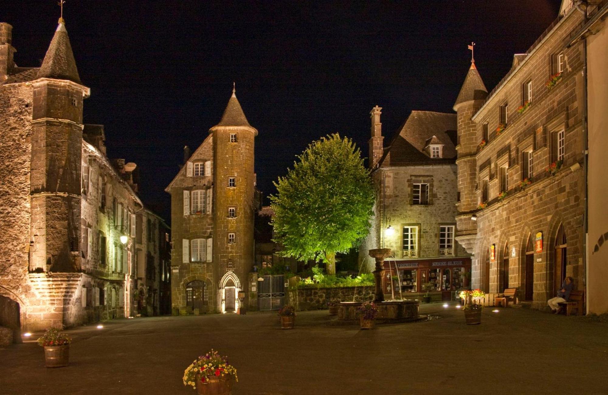 Logis Hotel Restaurant & Spa Les Remparts 살레 외부 사진